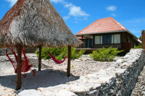 Отель Miki Miki Lodge  Аваторю